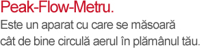 Peak-Flow-Metru - mesaj